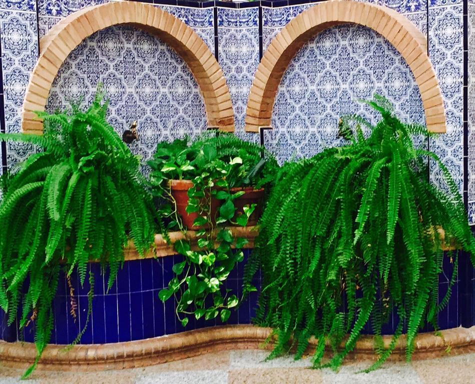 Alcalá de Guadaira Hotel Sandra מראה חיצוני תמונה